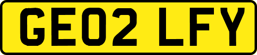 GE02LFY