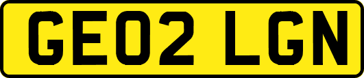 GE02LGN