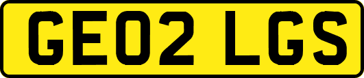 GE02LGS
