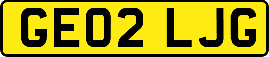 GE02LJG