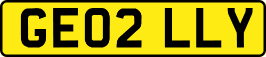 GE02LLY