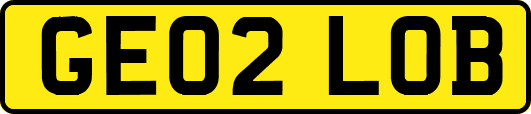 GE02LOB