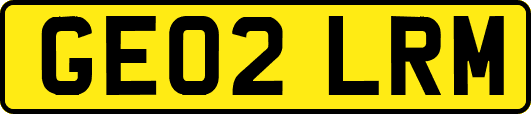 GE02LRM