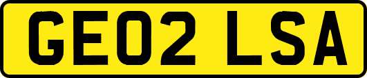 GE02LSA