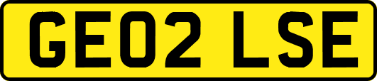 GE02LSE