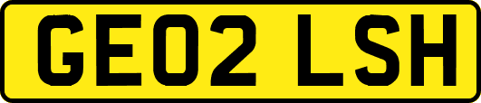 GE02LSH