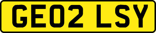 GE02LSY
