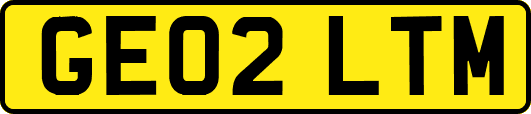 GE02LTM