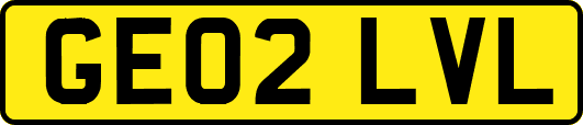 GE02LVL