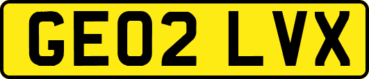GE02LVX