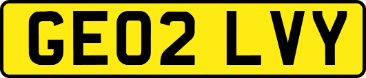 GE02LVY
