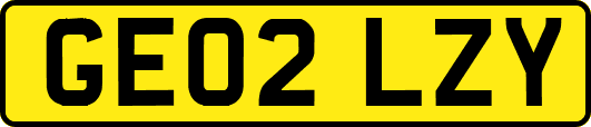 GE02LZY
