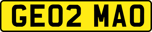 GE02MAO