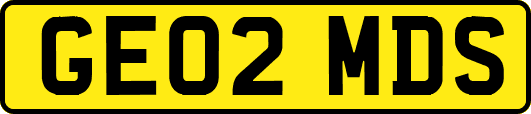 GE02MDS