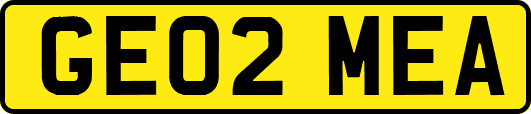GE02MEA