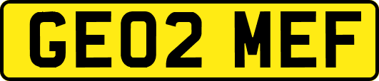 GE02MEF