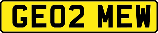 GE02MEW
