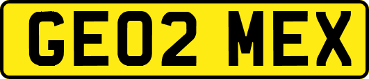 GE02MEX
