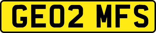 GE02MFS