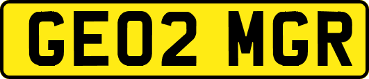 GE02MGR