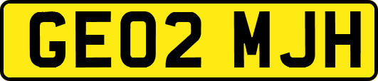 GE02MJH