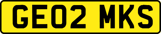 GE02MKS