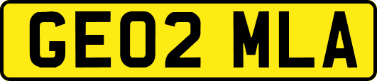 GE02MLA