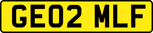 GE02MLF