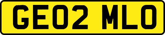 GE02MLO