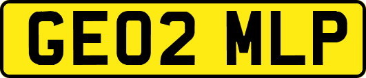 GE02MLP