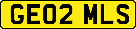 GE02MLS