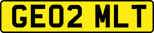 GE02MLT