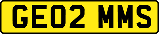 GE02MMS