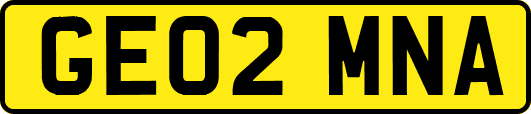 GE02MNA