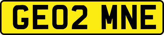 GE02MNE
