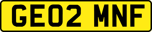 GE02MNF
