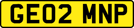 GE02MNP