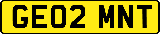 GE02MNT