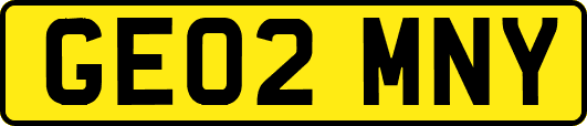 GE02MNY