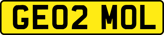 GE02MOL