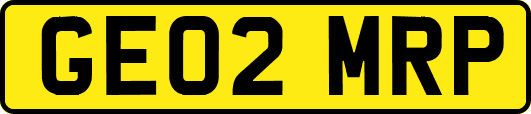GE02MRP