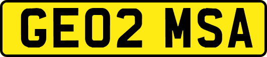 GE02MSA