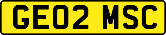 GE02MSC