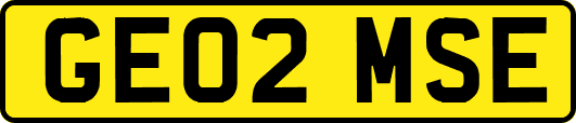 GE02MSE