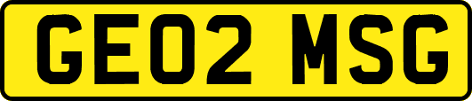 GE02MSG
