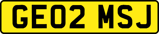 GE02MSJ