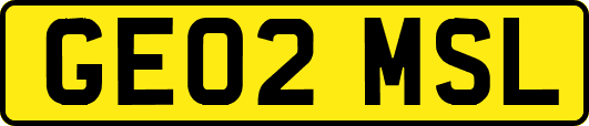 GE02MSL
