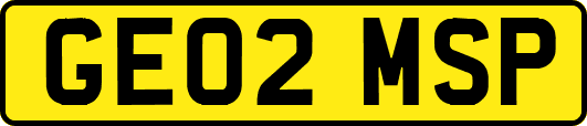 GE02MSP