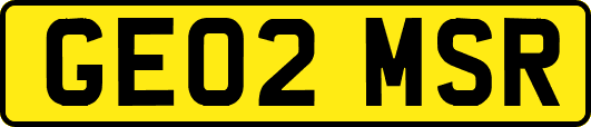 GE02MSR