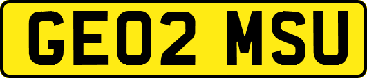 GE02MSU